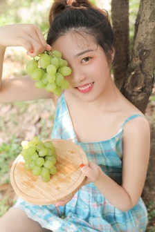 秘密列车动漫在线观看